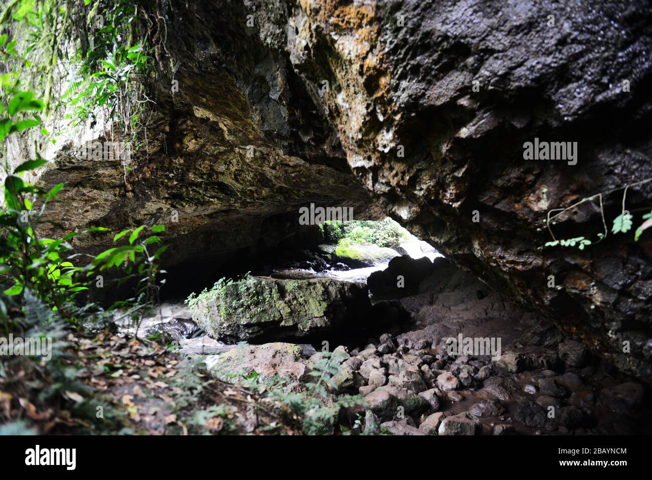 Puente de roca natural Gurguto en Mankira, Kaffa, Etiopía. Foto de stock