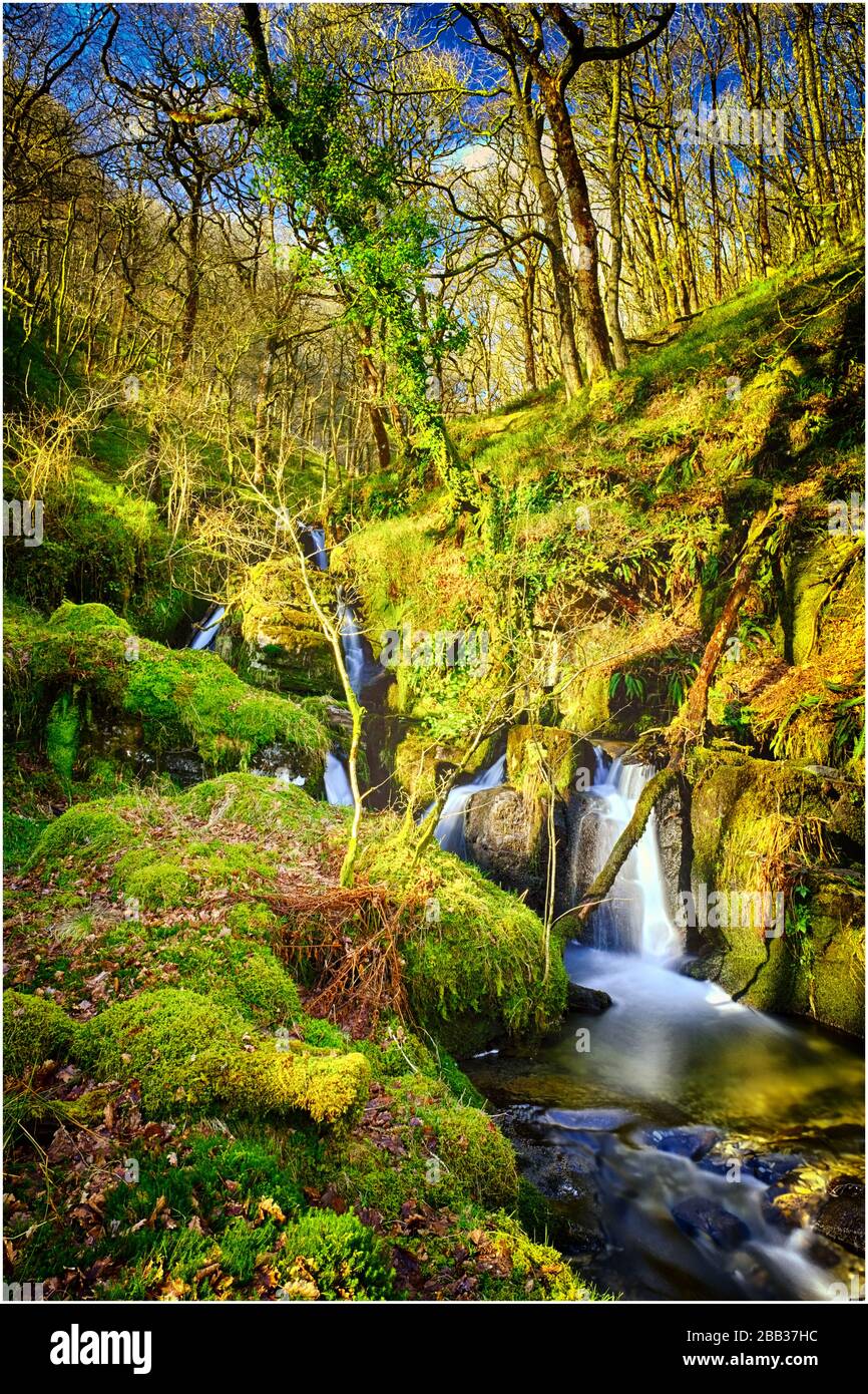 Nant Melyn cae en el centro de gales Foto de stock