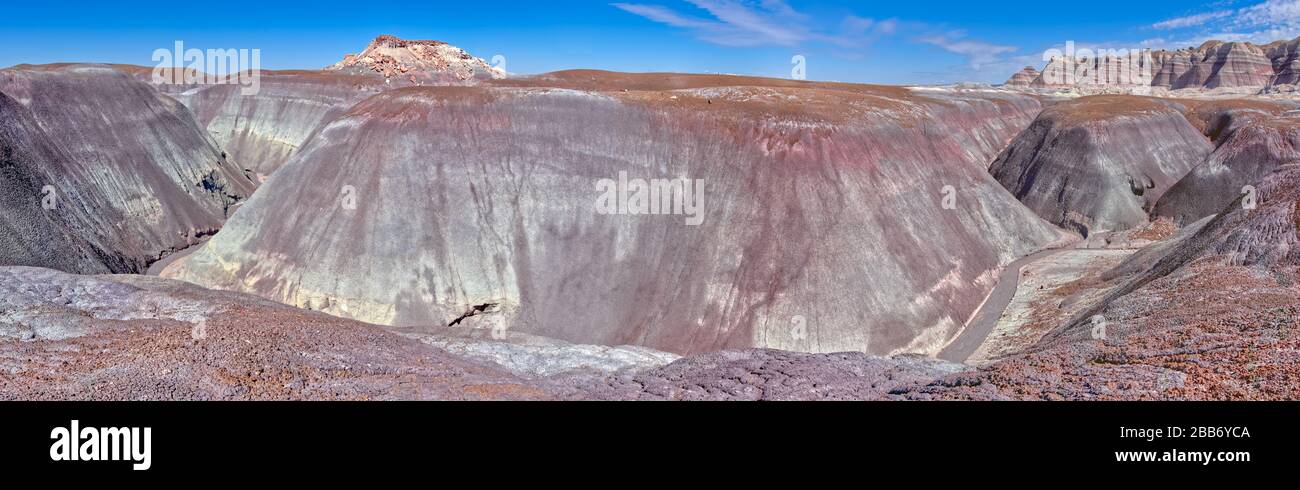 Barranco, Blue Forest Trail, Petrified Forest National Park, Arizona, Estados Unidos Foto de stock