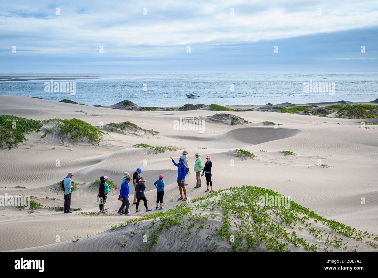 Sea Kayak Adventures Avistamiento de ballenas Tour en Bahía Magdalena
