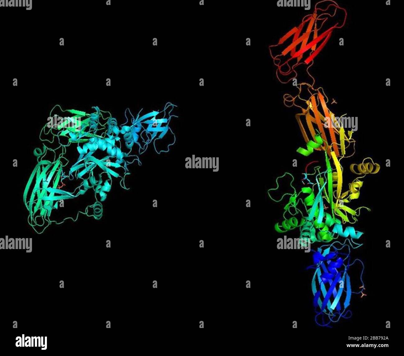 Ingles Estructuras De Cristalografia De Rayos X De Transglutaminasa Tisular Banco De Datos De Proteinas Rcsb Liu S Estrop P Fotografia De Stock Alamy