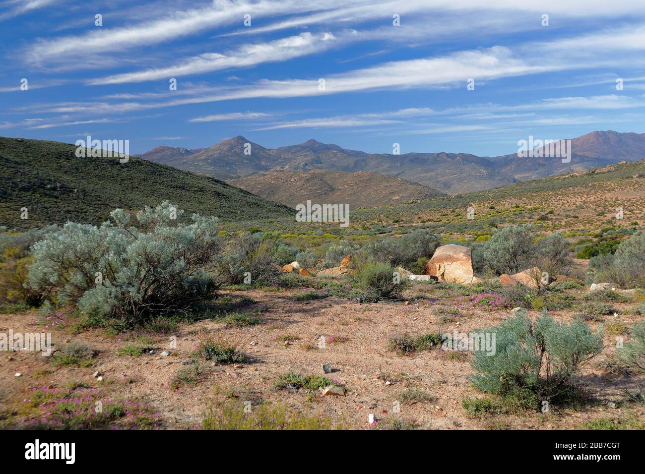 Paisajes en las cercanías de Kharkams cerca de Kammieskroon en Namaqualand, Cabo Norte, Sudáfrica Foto de stock