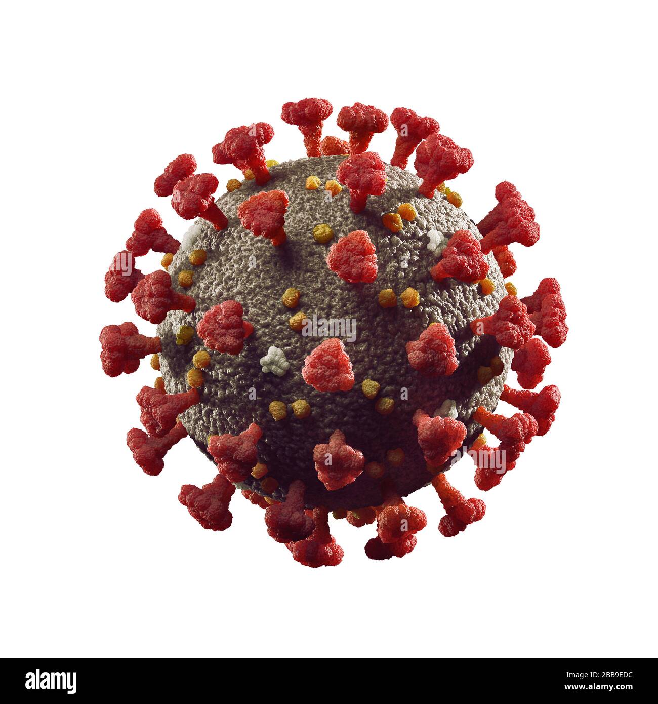 Coronavirus, COVID-19, SARS-CoV-2 partícula del virus de la corona ilustración 3D en color aislada sobre fondo blanco. Foto de stock