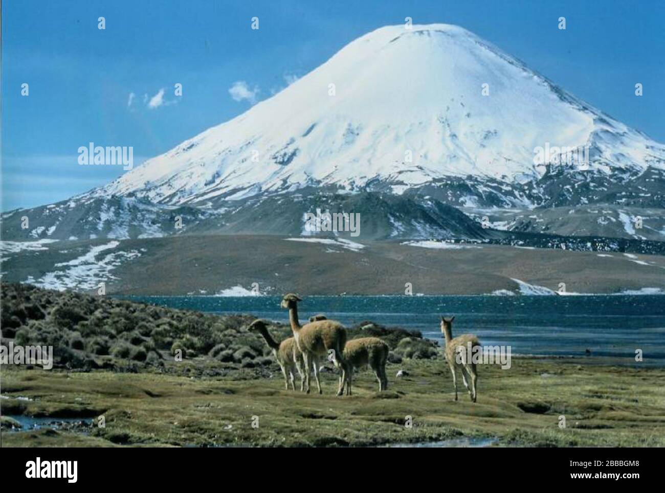 Bolivia Date Fotos E Imagenes De Stock Pagina 2 Alamy