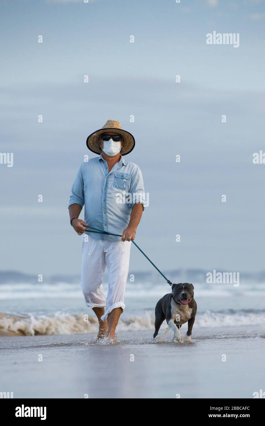 hombre con máscara médica caminando un perro azul stafford junto al mar, mejor amigo de los hombres, concepto de perro de paseo o permanecer activo en medio de la pandemia del coronavirus Foto de stock