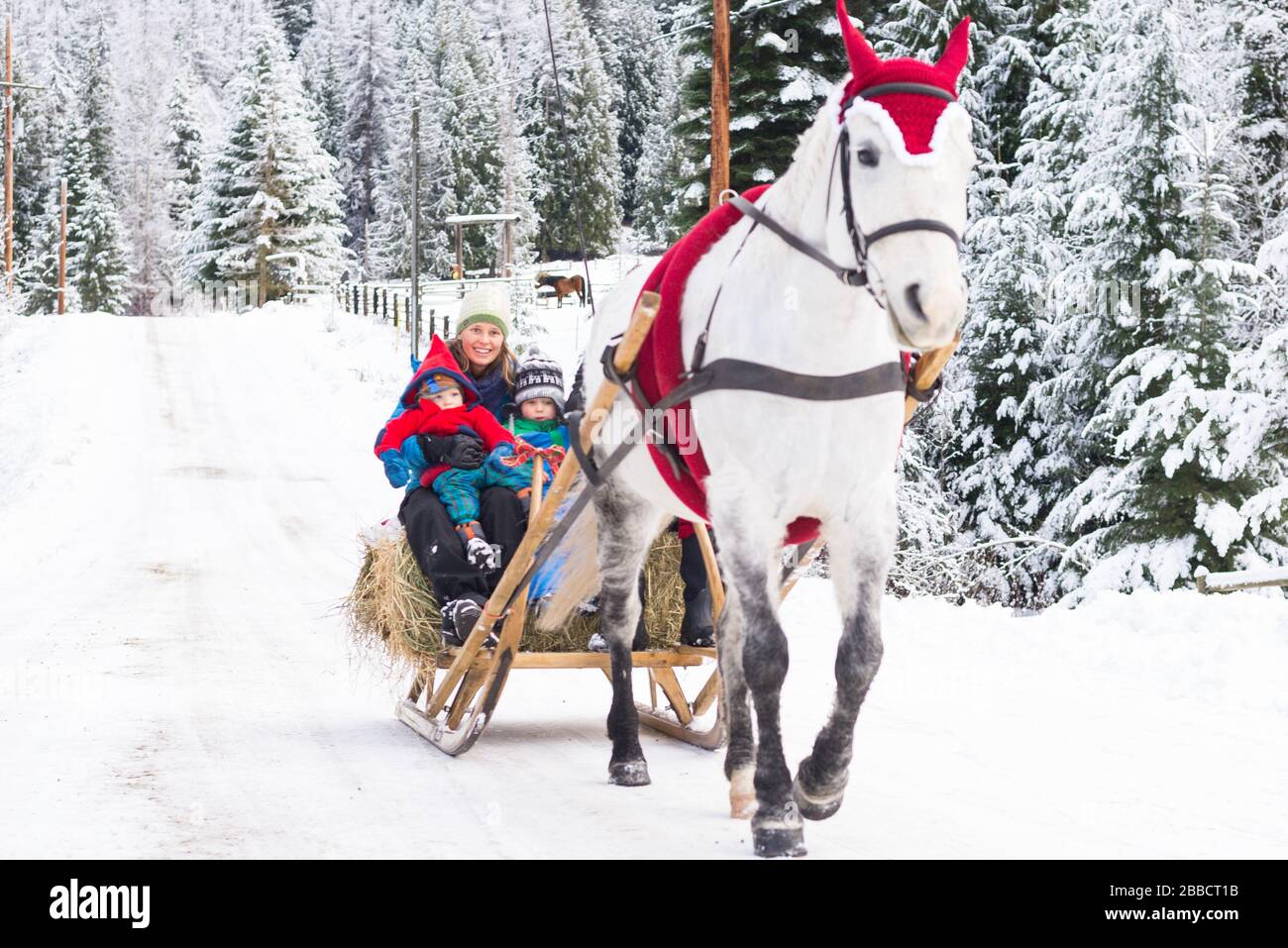 Una familia montando un caballo vestido con una guirnalda de Navidad Foto de stock