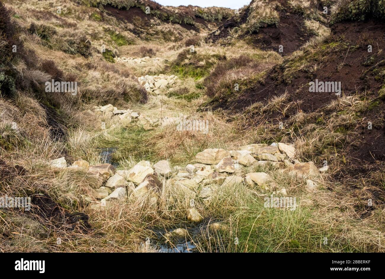 Bloqueo de barrancos usando presas de piedra que impiden la erosión del páramo. Parte del trabajo de restauración en Kinder Scout, Derbyshire, Peak District, Inglaterra, Reino Unido Foto de stock