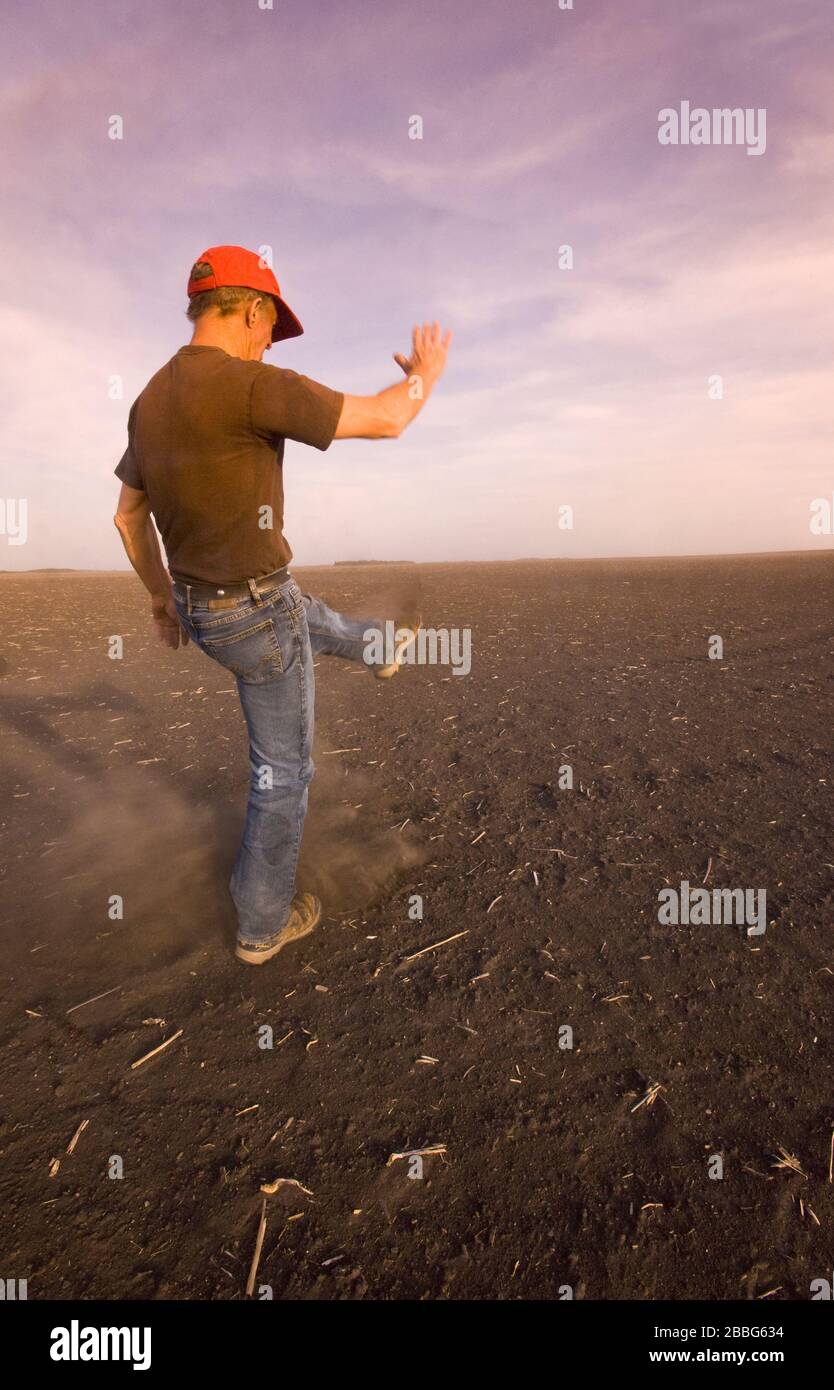 Un hombre patea suelo seco en un campo asolado por la sequía, Tiger Hills, Manitoba, Canadá Foto de stock