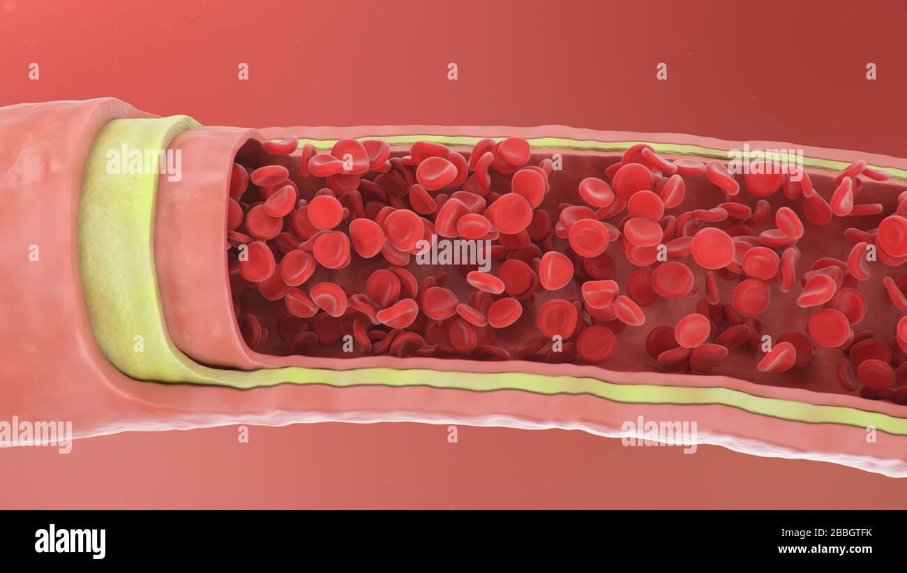 ilustración 3d de glóbulos rojos dentro de una arteria, vena. Flujo sanguíneo de corte transversal arterial saludable. Concepto microbiológico científico y médico Foto de stock