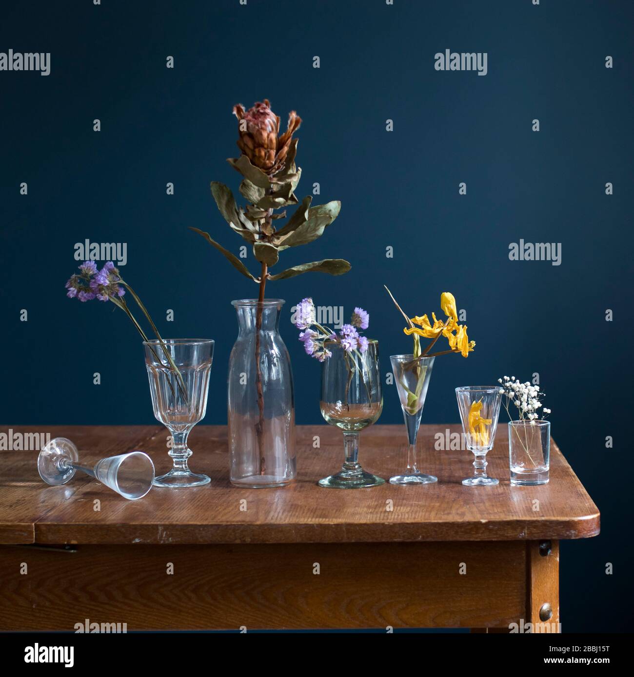 Flores secas en vasos de cristal sobre una mesa de madera frente a una pared azul oscuro. Tarjeta de arte. Diseño. Espacio de copia. Foto de stock