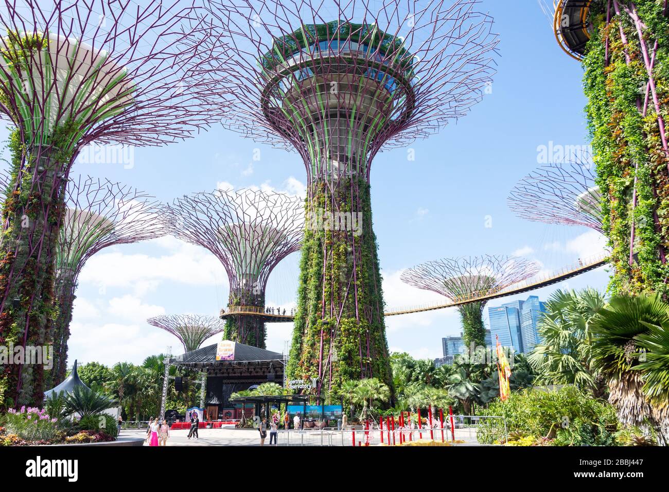 Skyway en Supertree Grove, Gardens by the Bay, Downtown Core, Marina South, Singapur Foto de stock