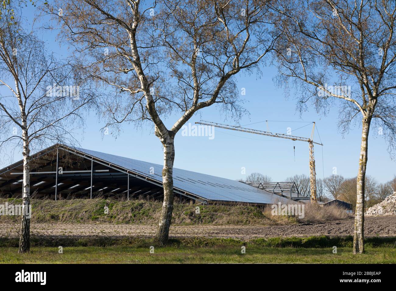 Construcción de una nueva granja con paneles solares fotovoltaicos sostenibles en los países Bajos Foto de stock