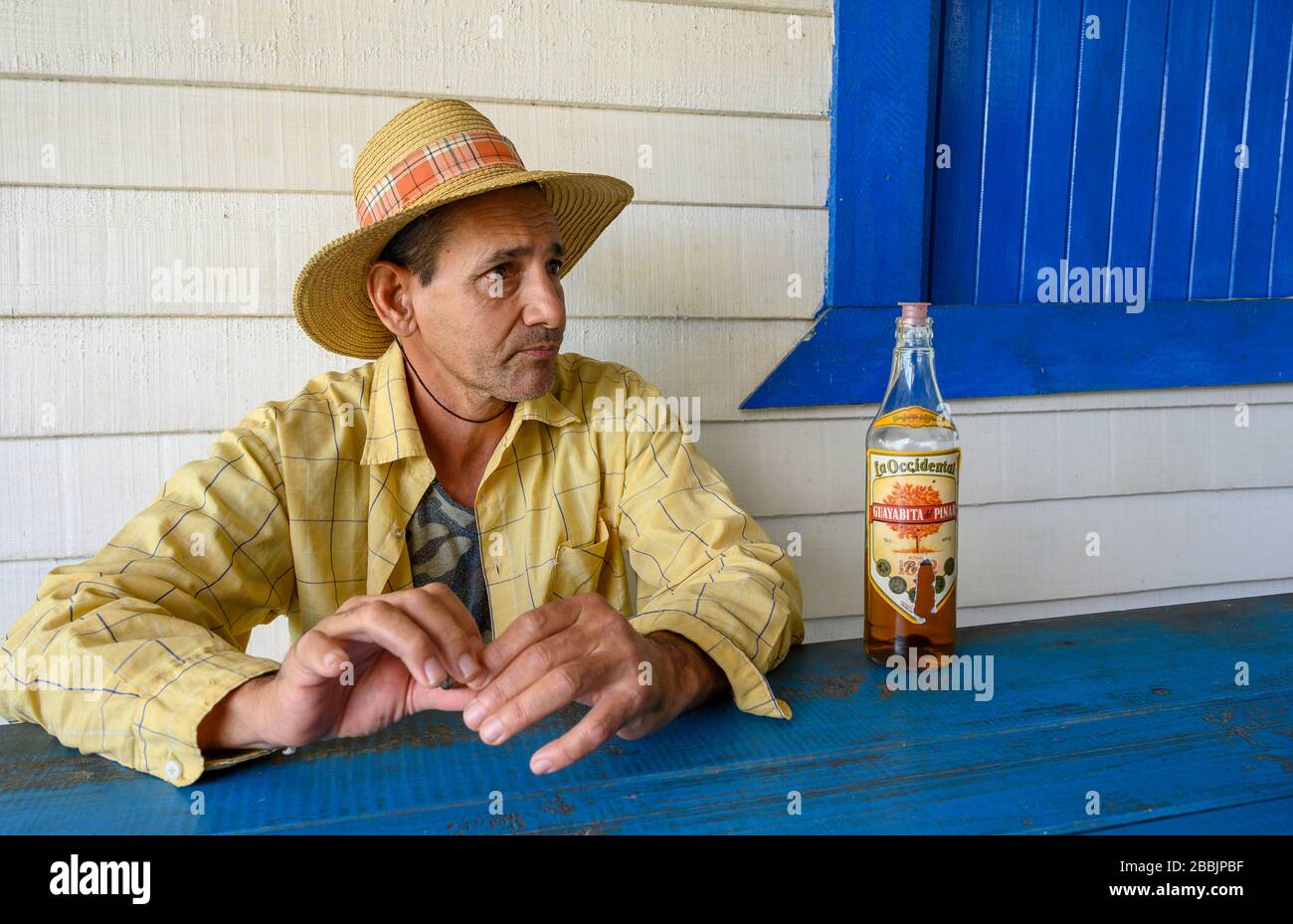 Trabajador agrícola en granja orgánica, Vinales, Provincia de Pinar del Río, Cuba Foto de stock