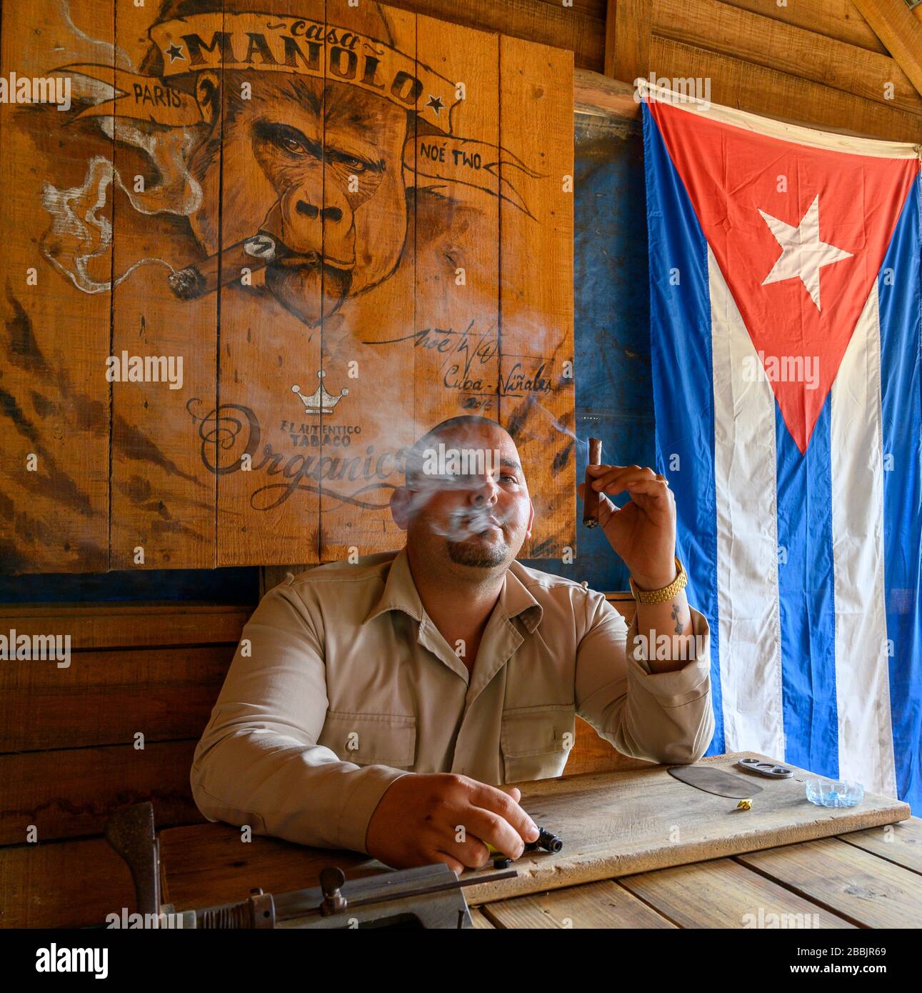 El productor de tabaco fuma cigarros en la granja Manolo, Vinales, Provincia Pinar del Río, Cuba Foto de stock