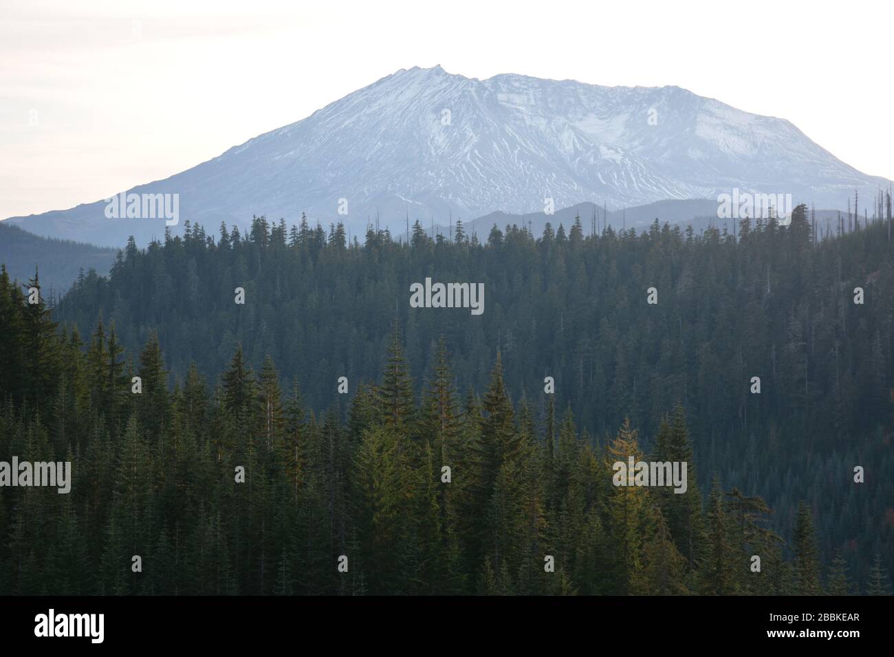 El lado este del Monte St Helens visto desde detrás de las montañas boscosas en el Bosque Nacional Gifford Pinchot, en el estado de Washington, EE.UU. Foto de stock