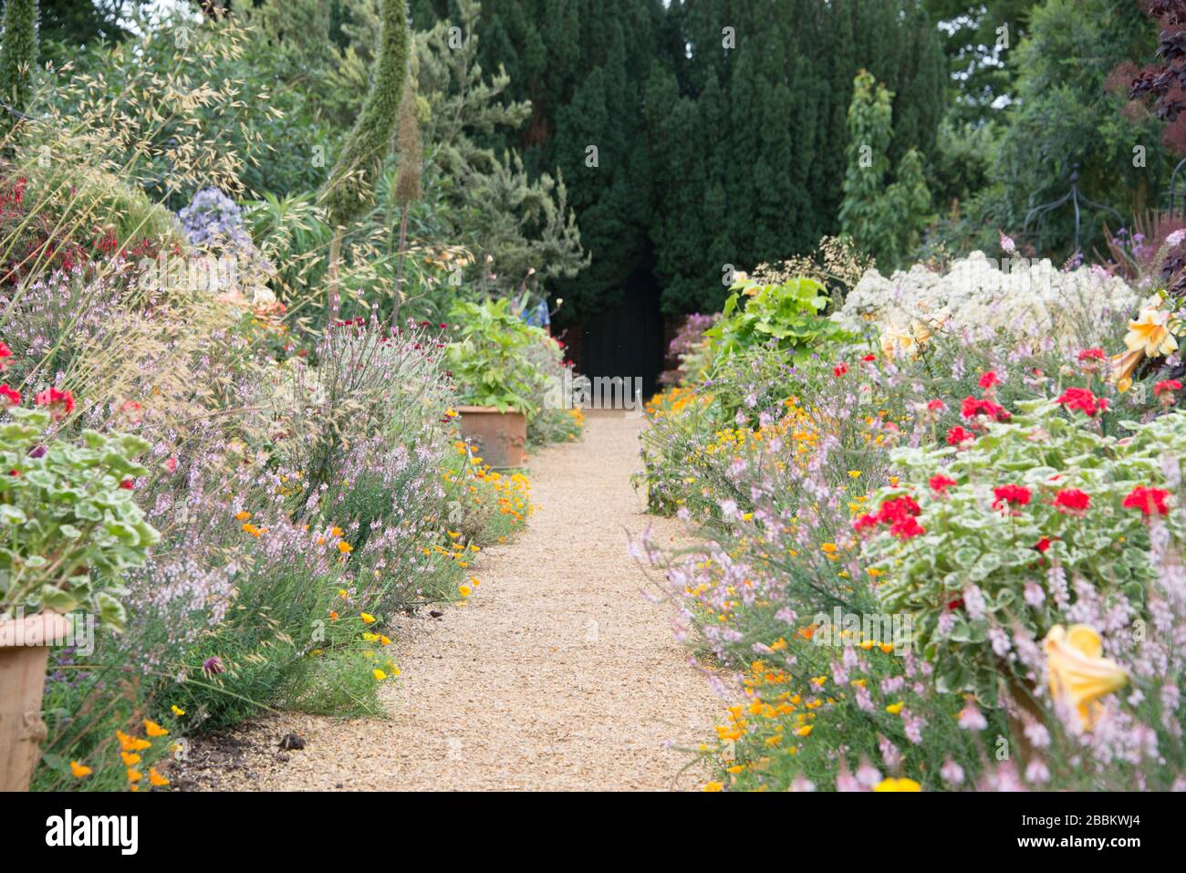 Jardín rural inglés, frontera herbácea bien establecida. Norfolk Reino Unido Foto de stock