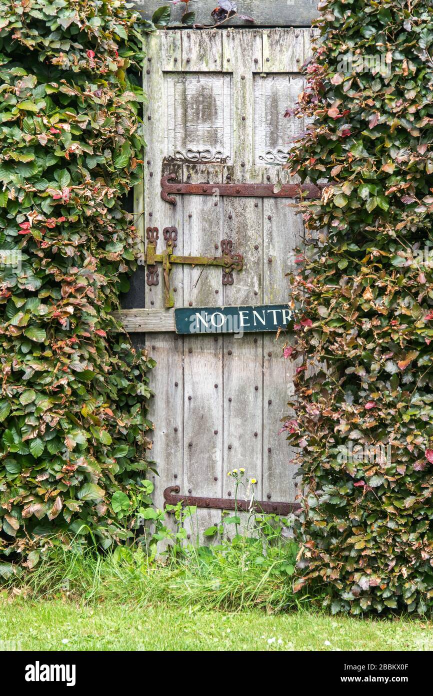 Jardín rural inglés, un jardín secreto puerta de madera cubierta por hiedra. Inglaterra, Reino Unido Foto de stock