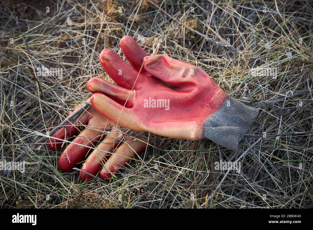 Un par de guantes de goma viejos se encuentra sobre hierba seca. Foto de stock