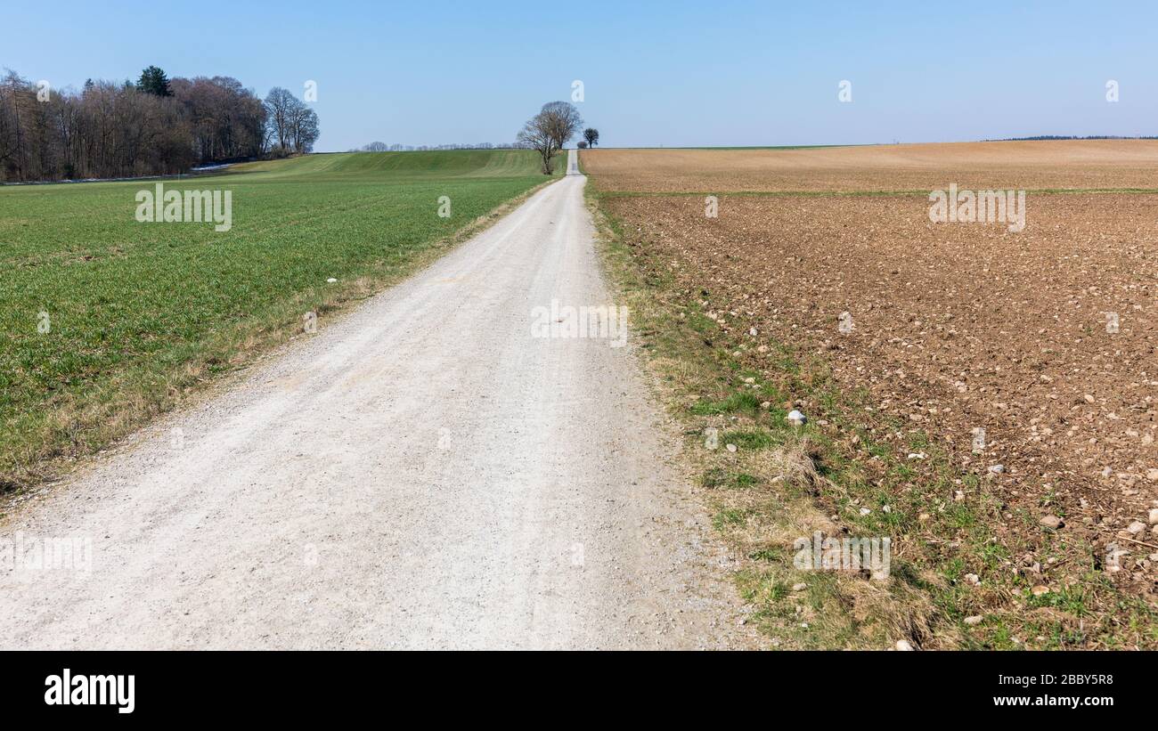 Sendero que conduce a la distancia. Perspectiva decreciente. Cielo azul y algunos árboles en el horizonte. Pradera verde, campo marrón. Foto de stock