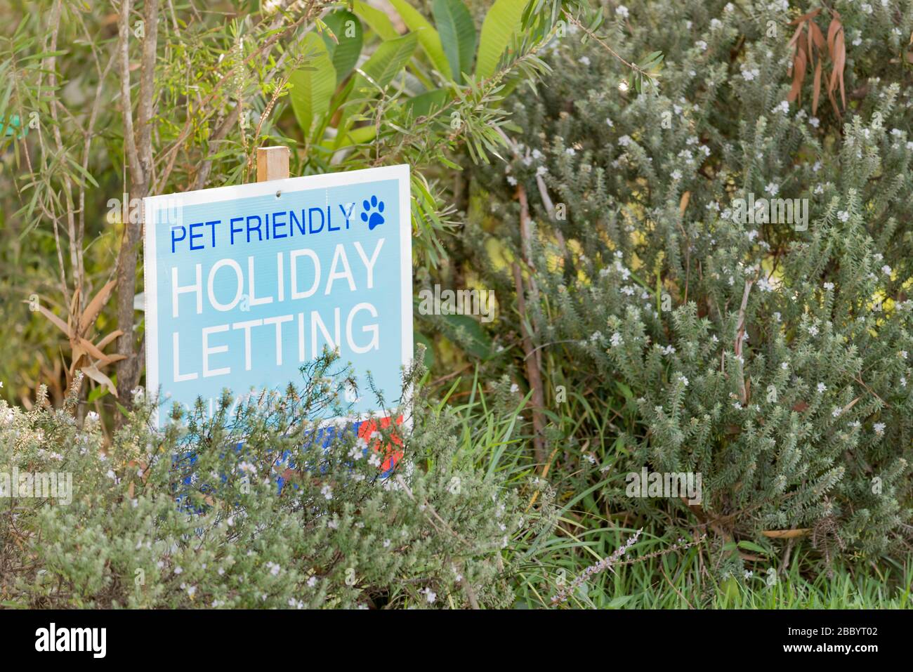 Un cartel que anuncia que se aceptan mascotas vacaciones de alquiler o  alquiler fuera de una casa en Nueva Gales del Sur, Australia Fotografía de  stock - Alamy