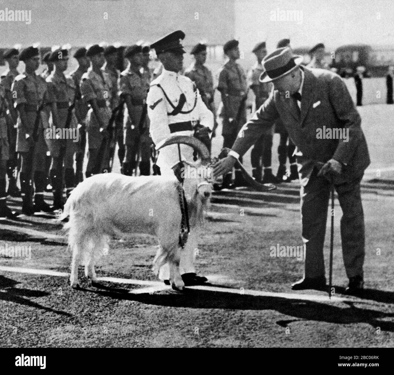 Churchill con 'Gwilym' una cabra de Cachemira, mascota de los Fusiliers galeses reales en el aeropuerto de Kindley Bemuda para conocer a Eisenhower y el PM M Laniel francés. 3/12/1953 Foto de stock