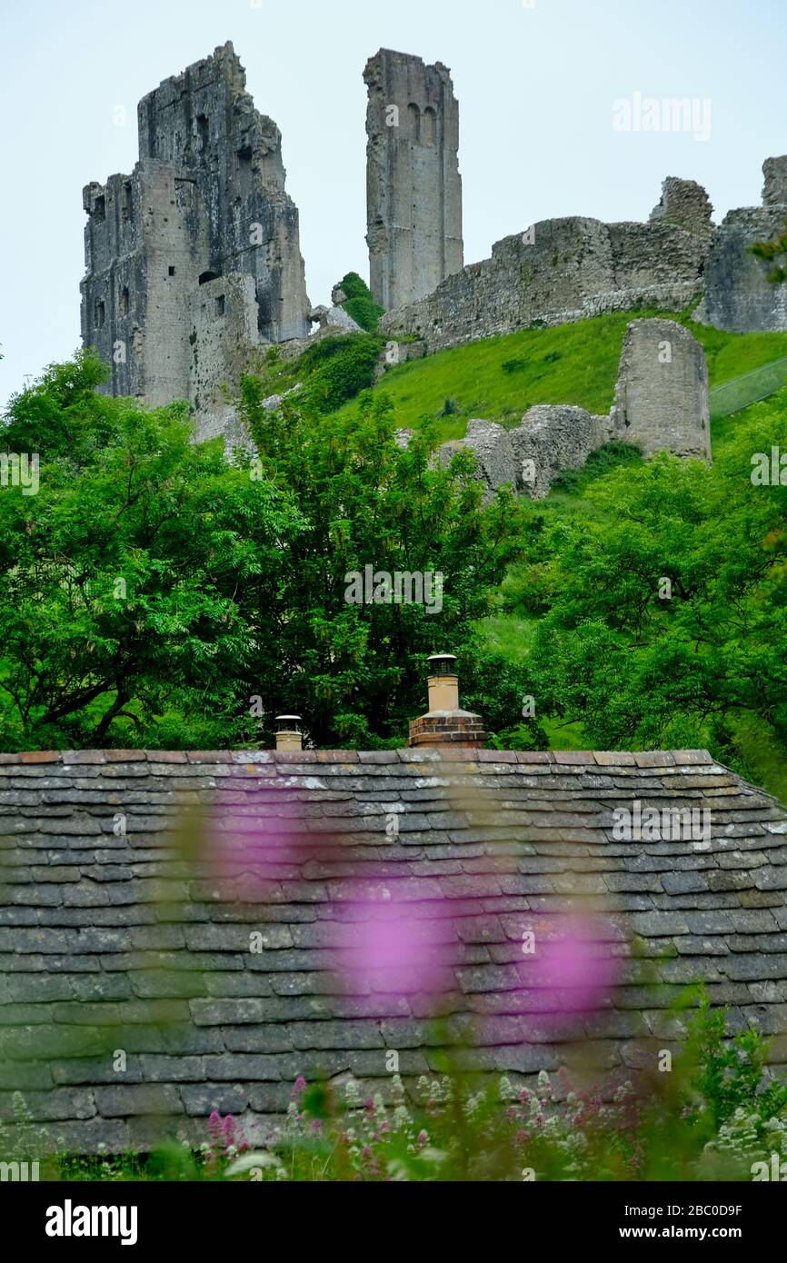 Corfe Castle, un monumento antiguo programado en el pueblo de Corfe cerca de Swanage en la isla de Purbeck Dorset, Reino Unido Foto de stock