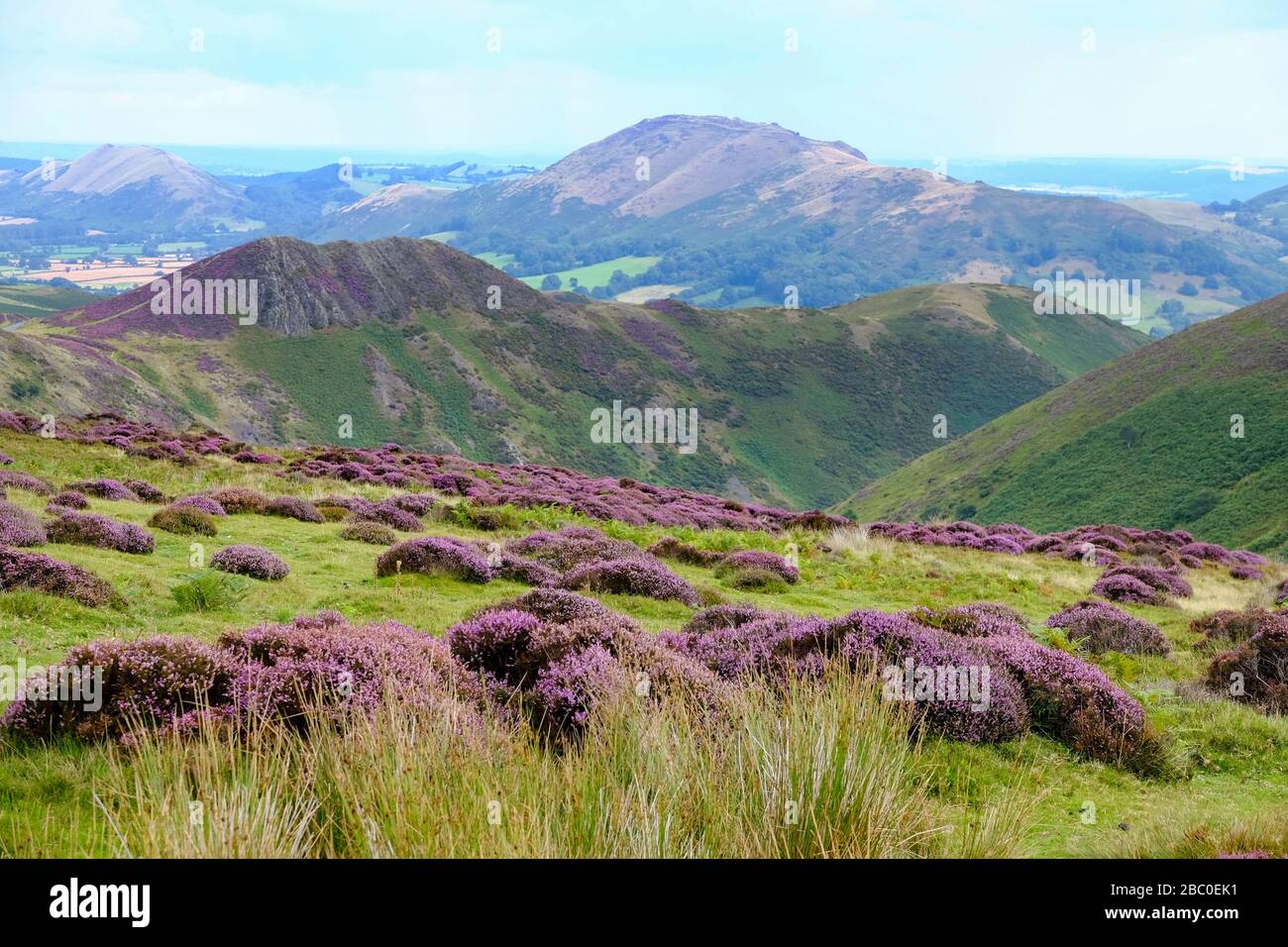 La gama Long Mynd en las afueras de la ciudad de Church Stretton en la zona de Shropshire Hills de la belleza natural excepcional, Reino Unido Foto de stock