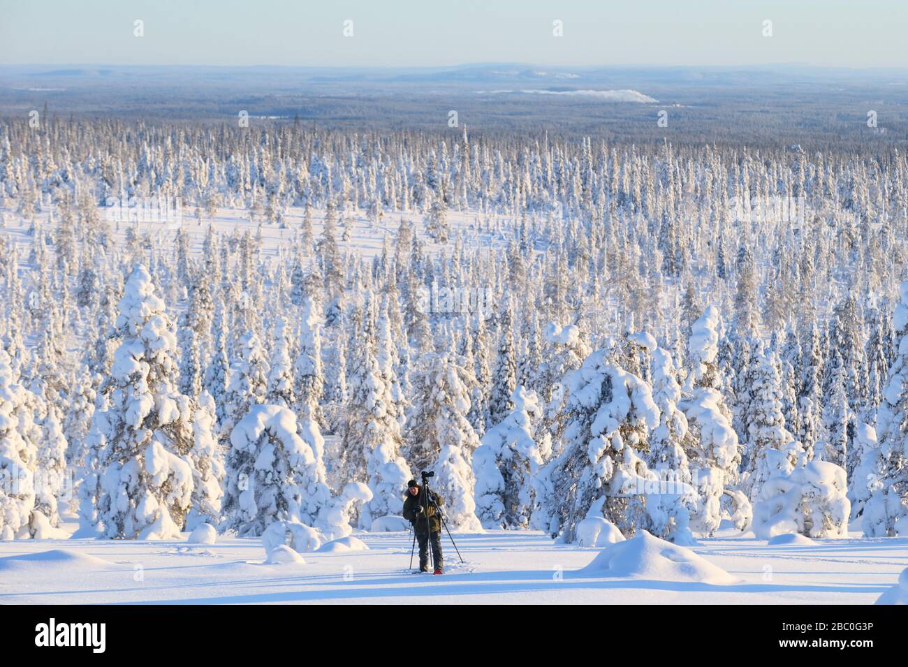 Amanecer en el Parque Nacional Riisitunturi, Laponia, Finlandia Foto de stock