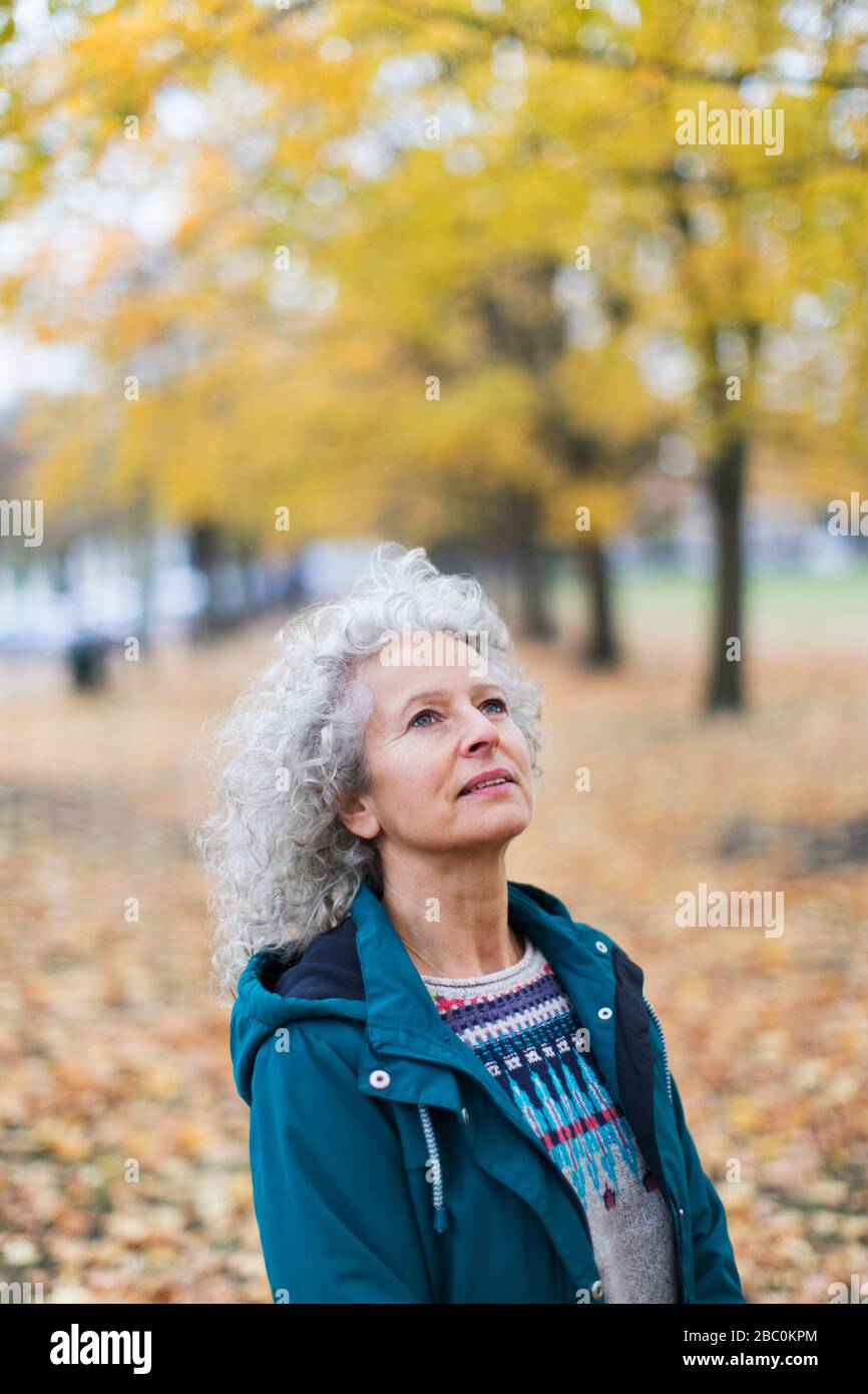 Pensativa mujer mayor mirando hacia los árboles de otoño en el parque Foto de stock