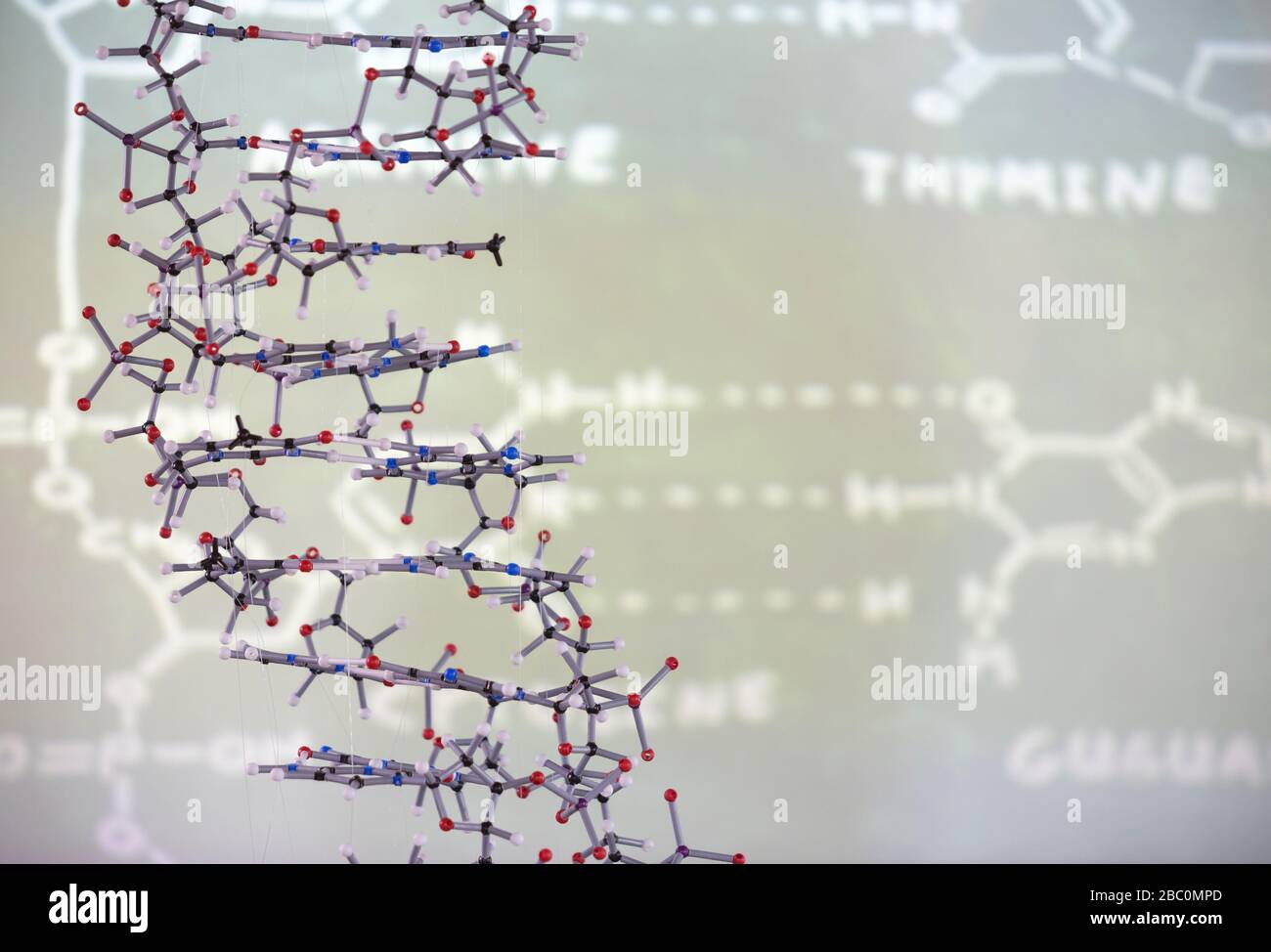Estructura molecular delante de los datos en la pantalla de proyección en el aula Foto de stock