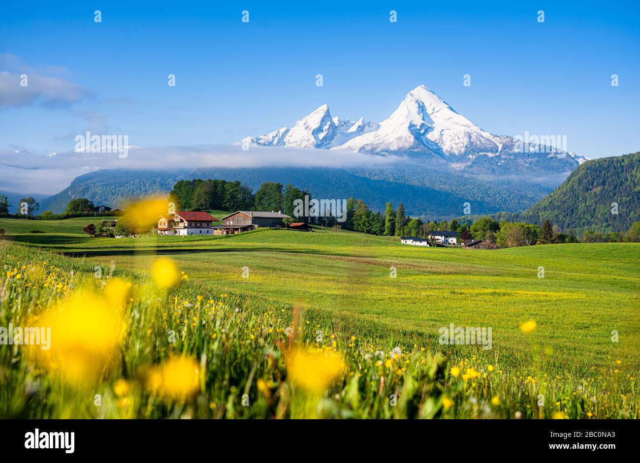Vista panorámica panorámica del idílico paisaje alpino de montaña con coloridas praderas en flor y hermosos picos nevados en mística niebla Foto de stock