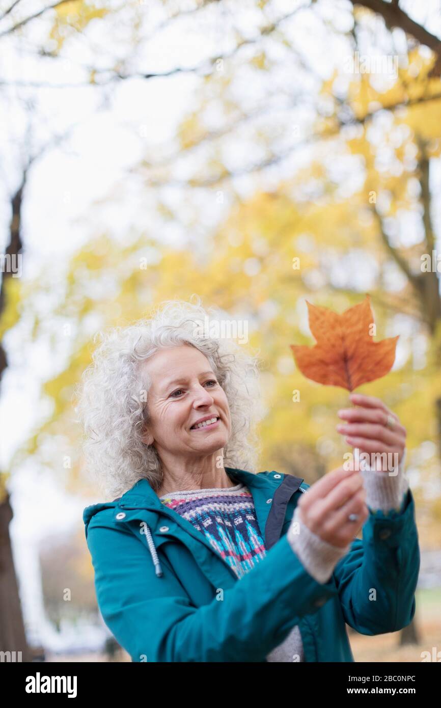 Mujer mayor curiosa sosteniendo la hoja naranja de otoño en el parque Foto de stock