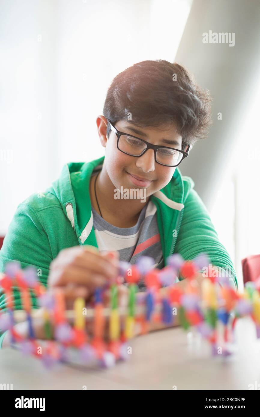 Estudiante sonriente que ensambla el modelo de ADN en el aula Foto de stock