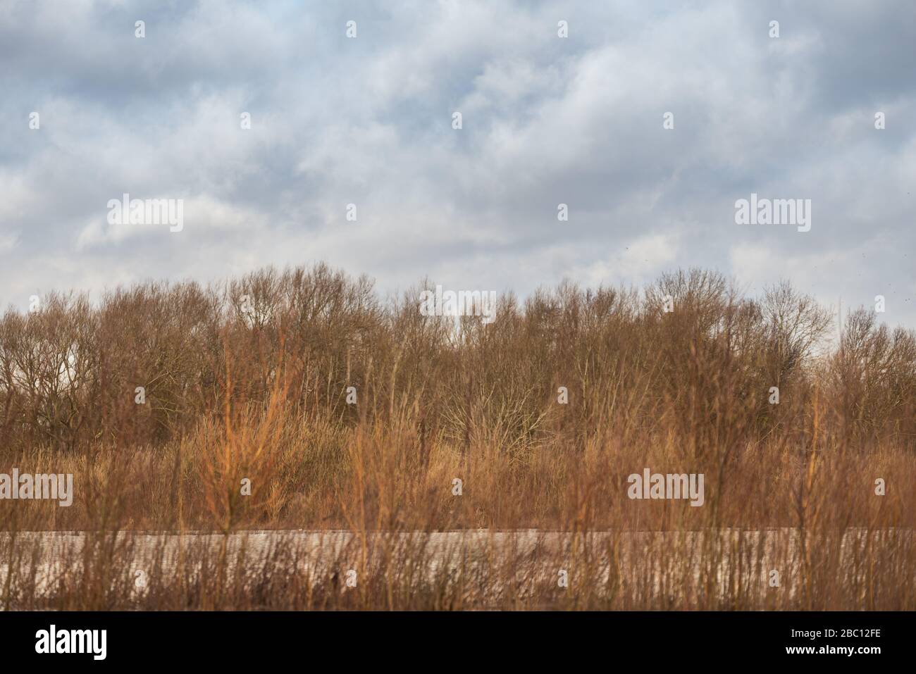 Jardín natural con lago en Inglaterra, Reino Unido Foto de stock