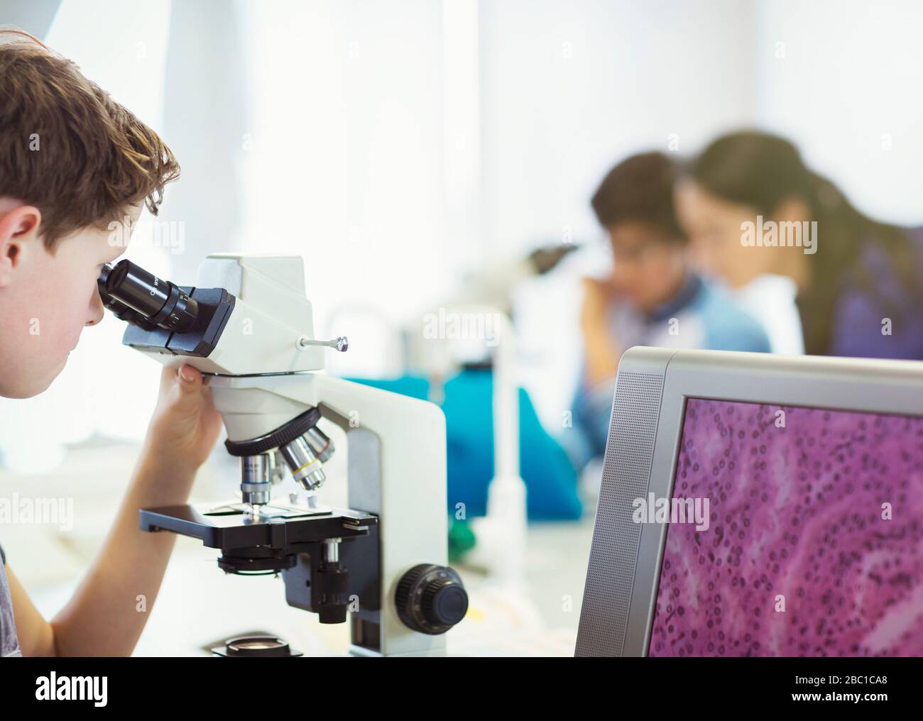 Niño estudiante usando microscopio, realizando experimento científico en el aula de laboratorio Foto de stock