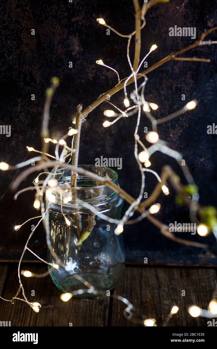Tarro de vidrio y ramitas decoradas con luces de cuerda Foto de stock