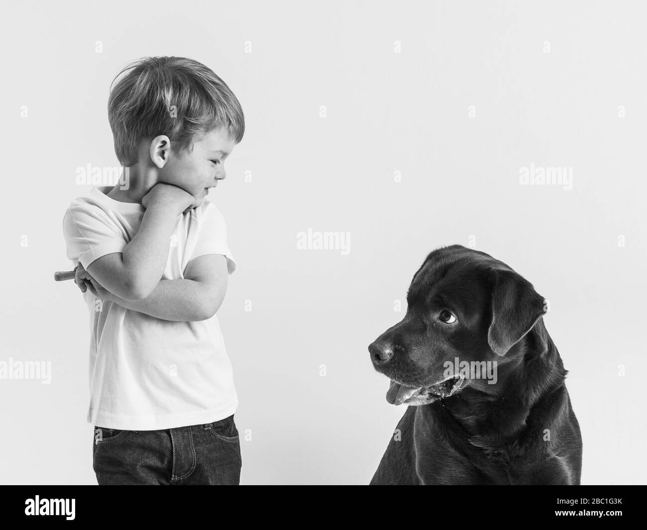 NIÑO MIRANDO A SU PERRO, LABRADOR NEGRO, FOTO DE ESTUDIO Foto de stock