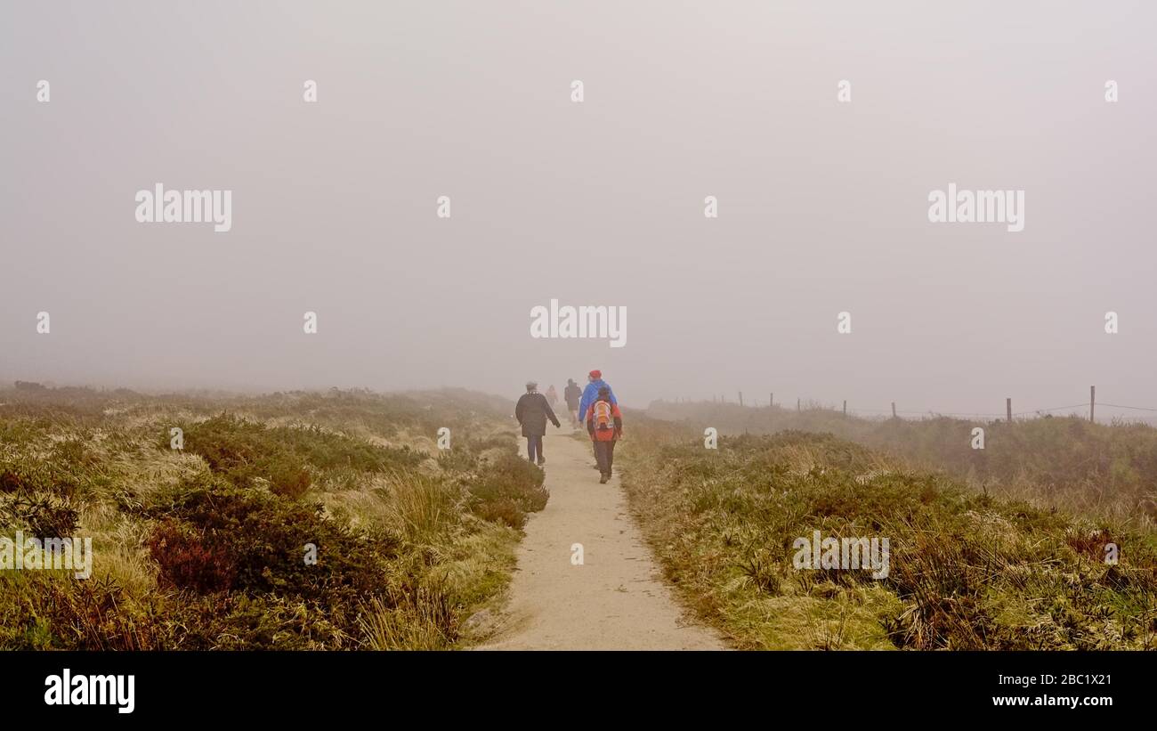 Grupo de personas caminando Sendero de senderismo a través de la brezal en las foggy Ticknock montañas, Dublín, Irlanda, vista desde la parte de atrás Foto de stock