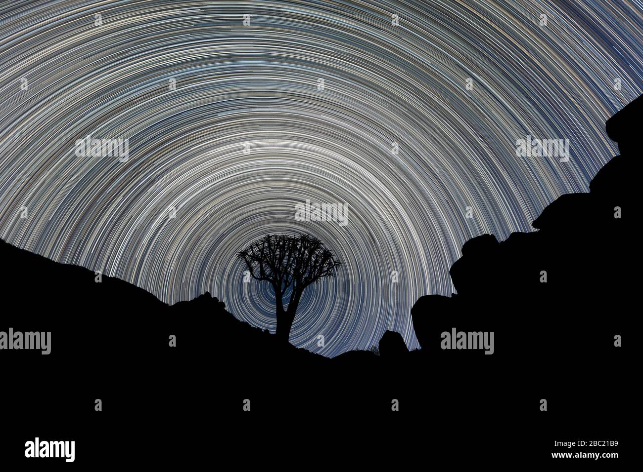 Una hermosa fotografía del cielo nocturno de un árbol de buzo con siluetas enmarcado por montañas rocosas, con senderos estelares circulares que crean un vórtice alrededor del árbol, Foto de stock