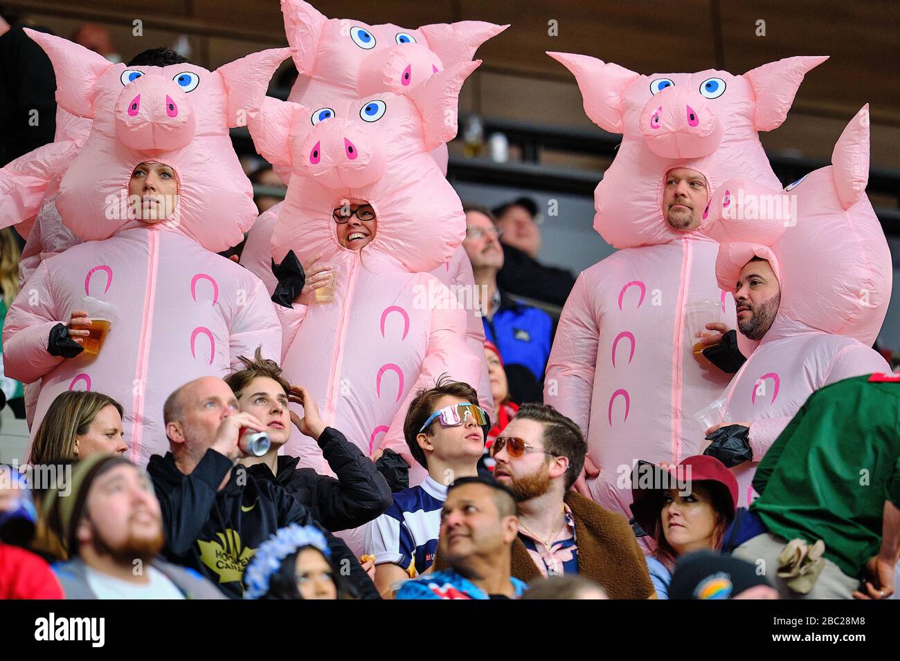 Vancouver, Canadá. 7 de marzo de 2020. Los aficionados al Rugby se visten con trajes de cerdo durante el partido en grupo el día 1 - 2020 HSBC World Rugby Sevens Series en B Foto de stock