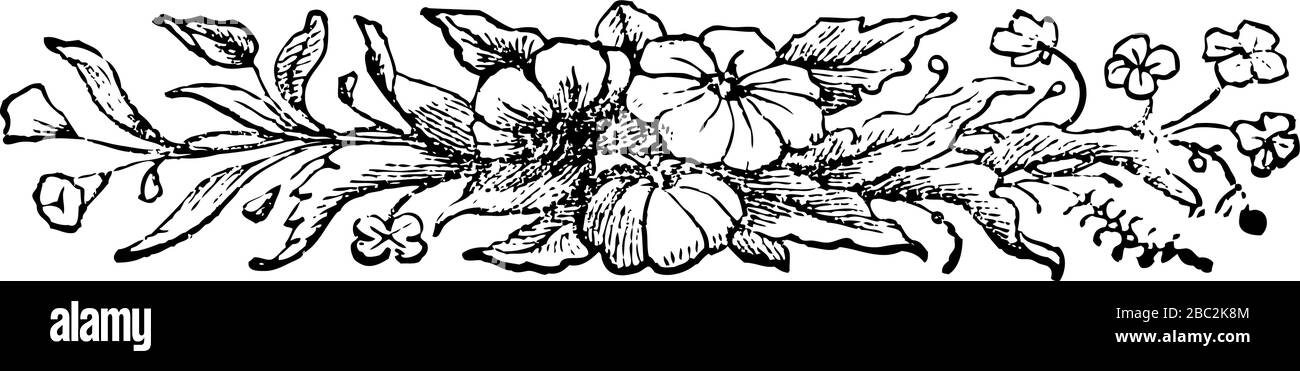 Diseño floral fondo Vintage línea grabada dibujo de arte blanco y negro Ilustración Ilustración del Vector