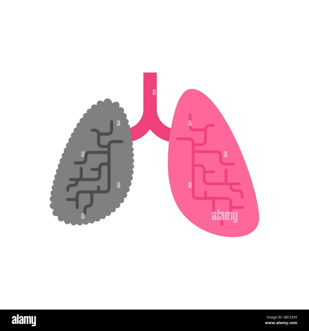 Pulmones sanos y fumador de pulmón. Órgano interno sano y enfermo.  Ilustración vectorial Imagen Vector de stock - Alamy