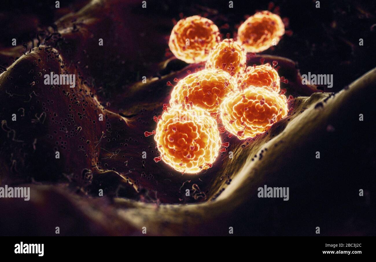 Detalles del Coronavirus COVID-19 en células humanas, ilustración en 3D como imagen microscópica dentro del cuerpo humano basada en fotos SEM SARS Foto de stock
