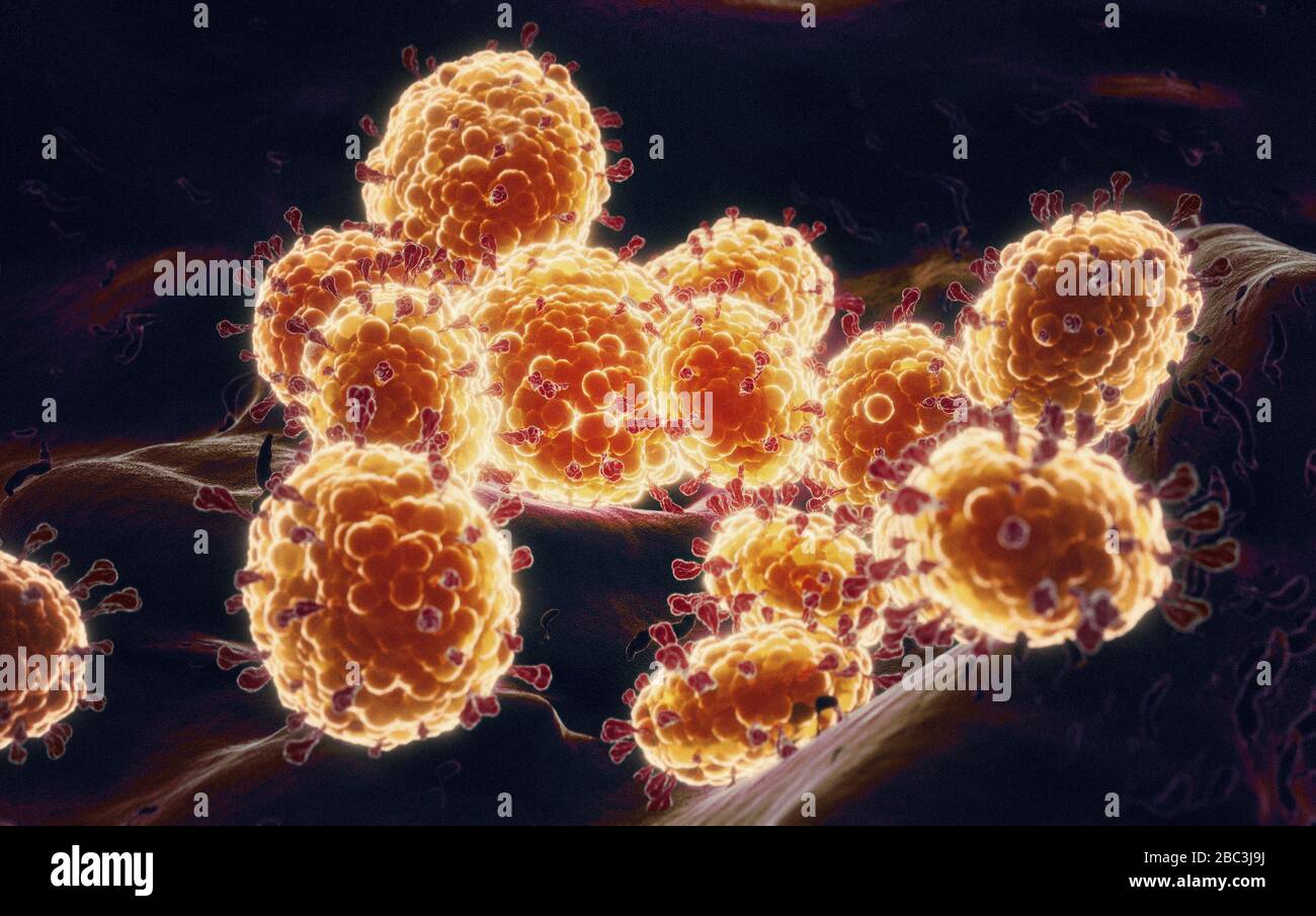 Detalles del Coronavirus COVID-19 en células humanas, ilustración en 3D como imagen microscópica dentro del cuerpo humano basada en fotos SEM SARS Foto de stock