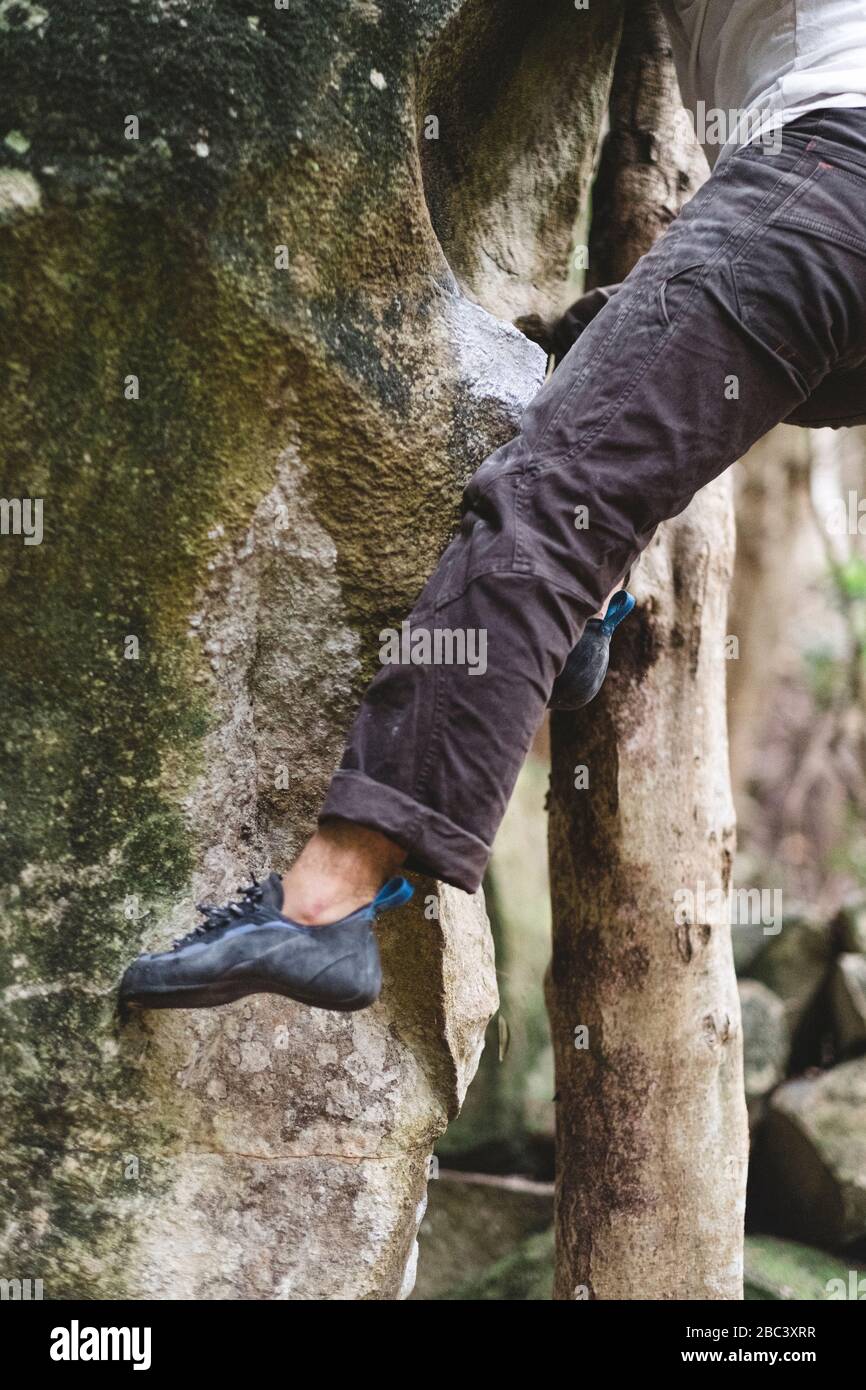 Parte inferior de un escalador masculino que sube en roca en el bosque Foto de stock