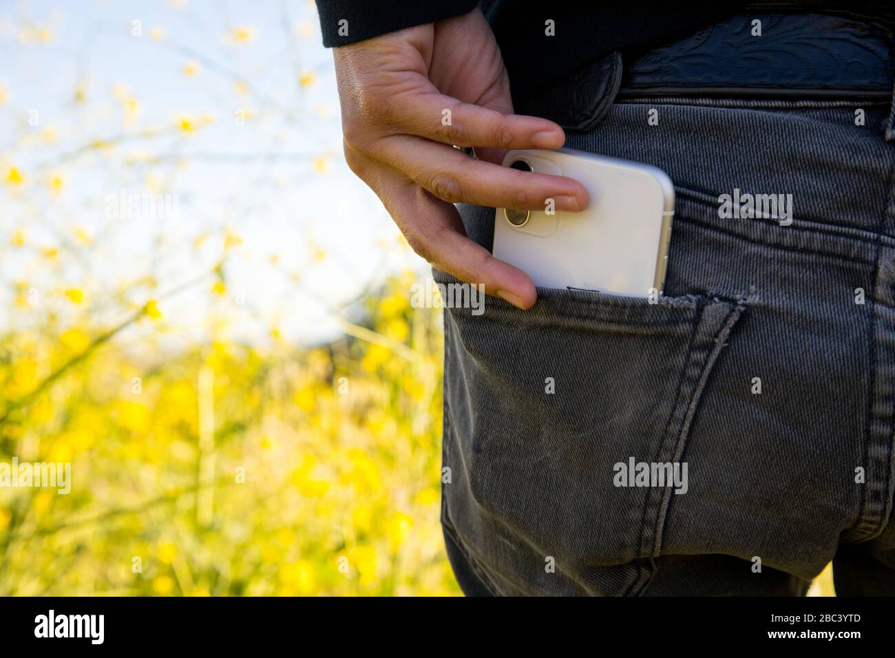 mujer tirando del teléfono celular fuera del bolsillo de los pantalones en  la naturaleza Fotografía de stock - Alamy