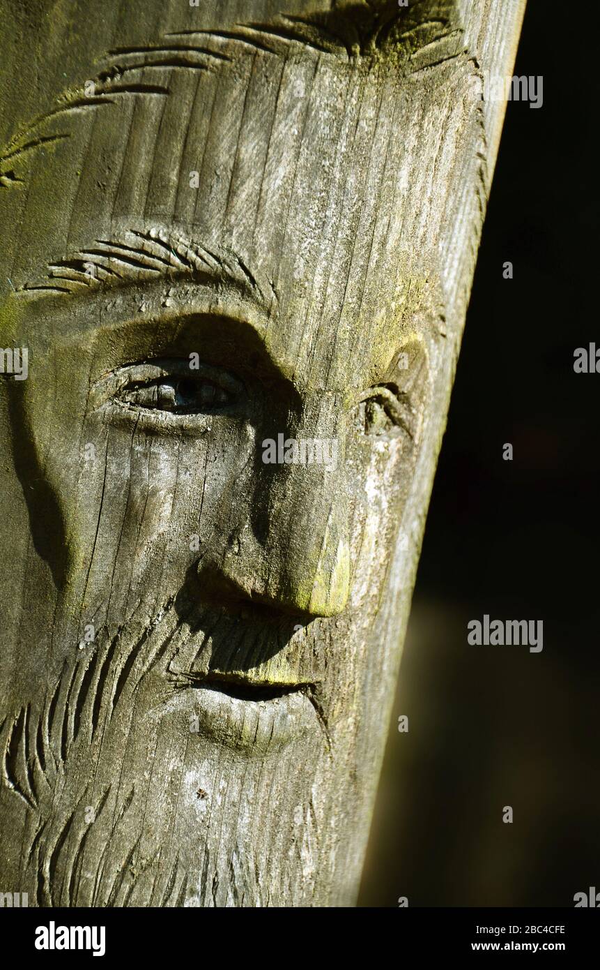 Detalle de la cara de madera tallada del hombre Foto de stock