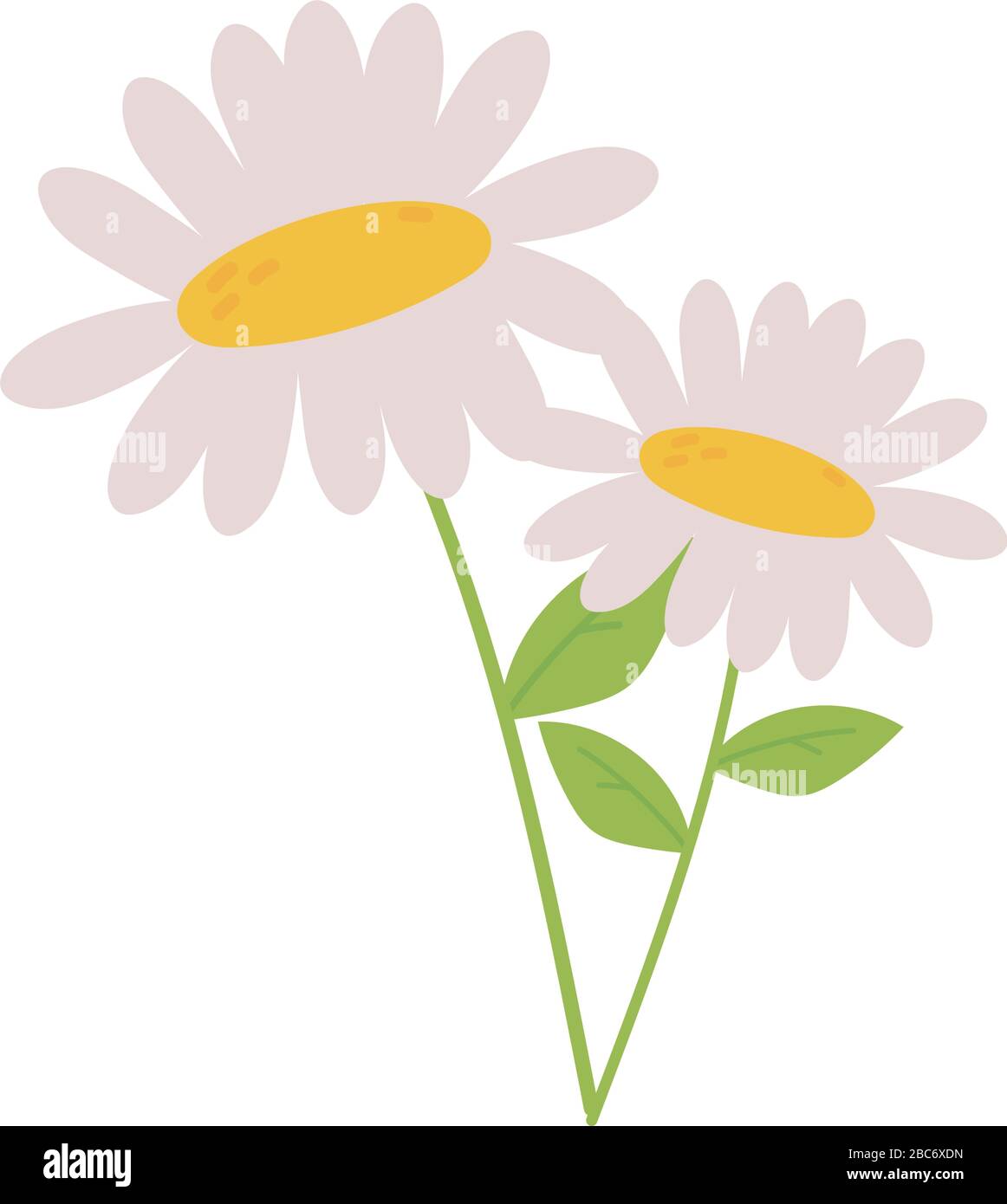 margaritas flores pétalos tallo hojas naturaleza decoración icono vector  ilustración Imagen Vector de stock - Alamy