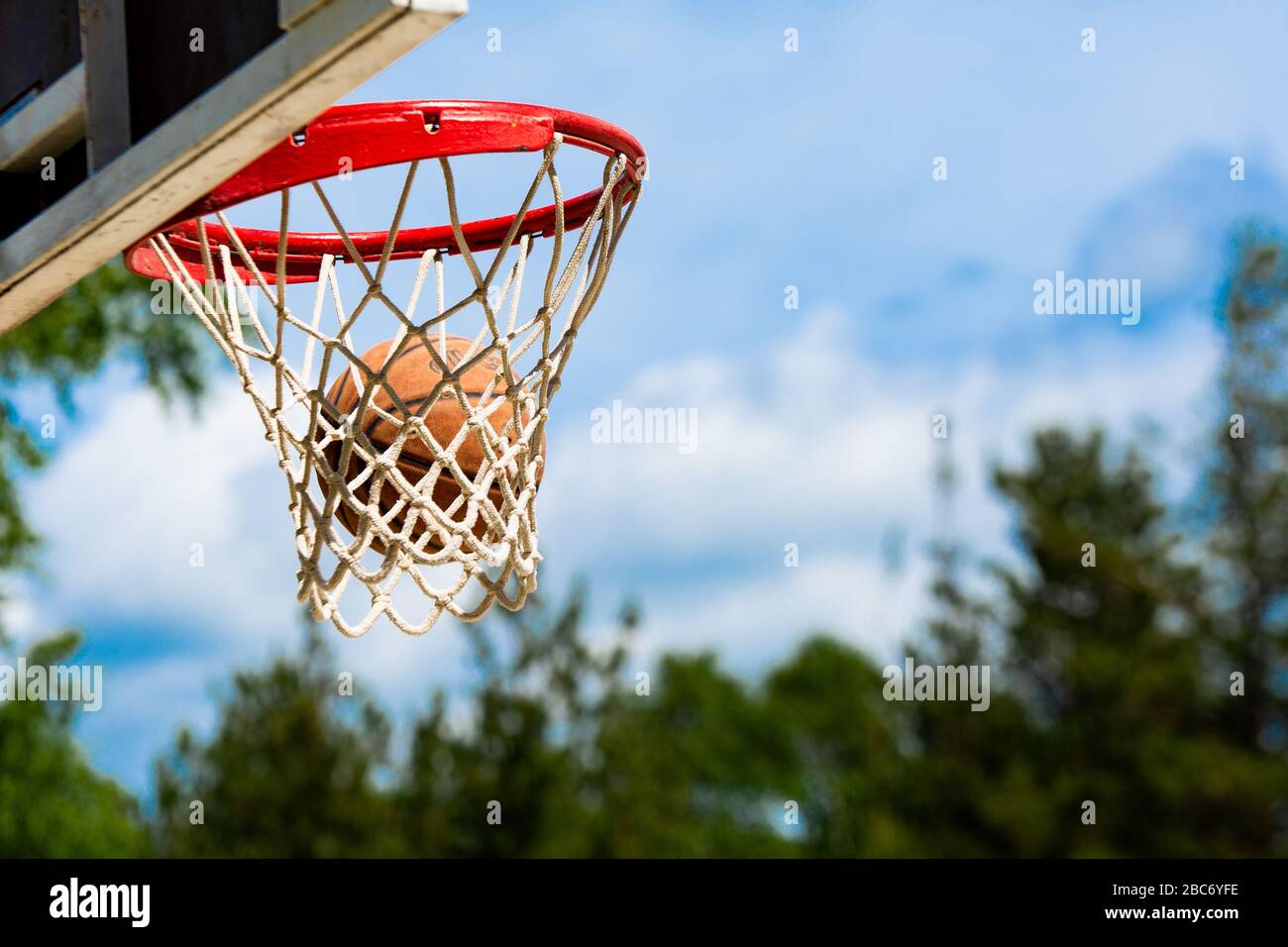 Canasta de baloncesto en el parque con árboles verdes como fondo Fotografía  de stock - Alamy