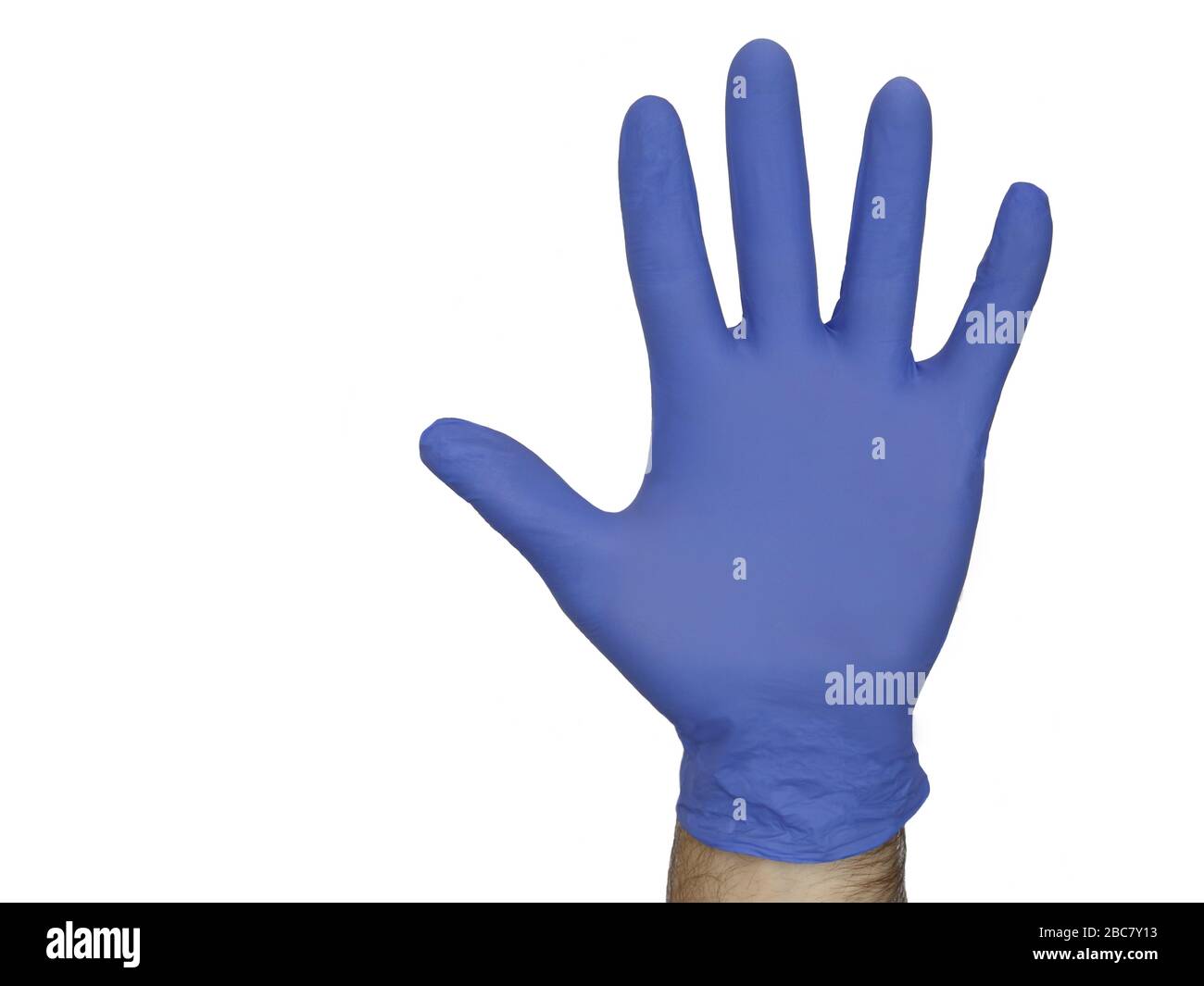 Una mano masculina que lleva un guante azul de nitrilo se muestra aislada contra un fondo blanco. Foto de stock